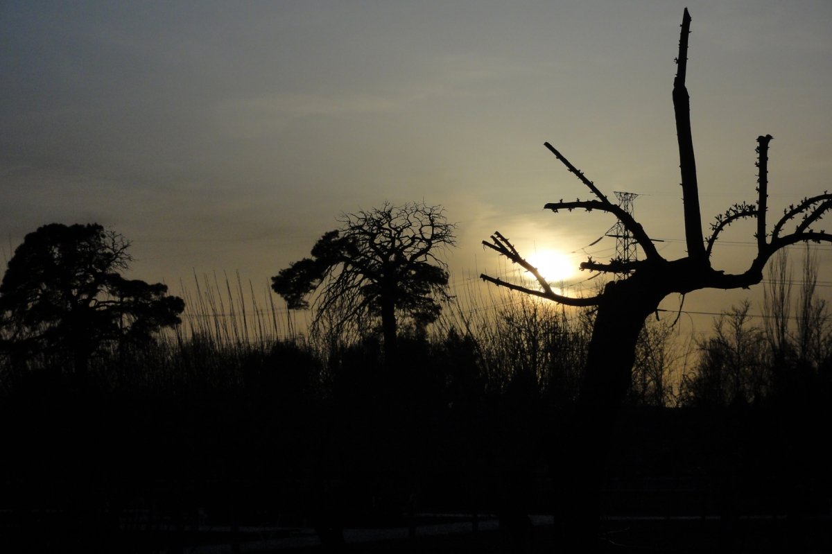 Sunset (1)